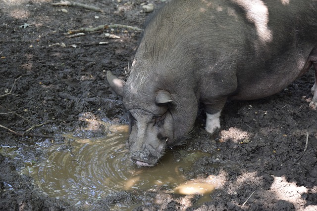 几乎从不懈 几乎从不懈