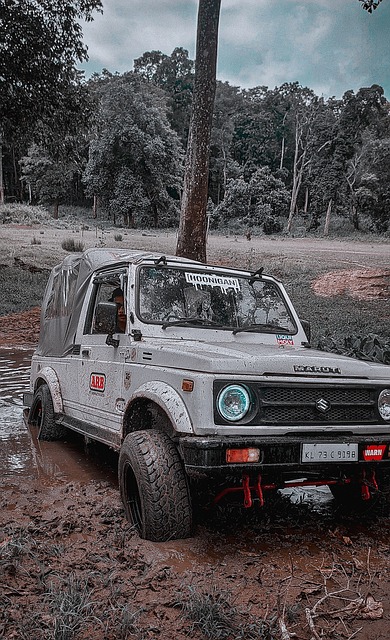 能否继续耀 能否继续耀