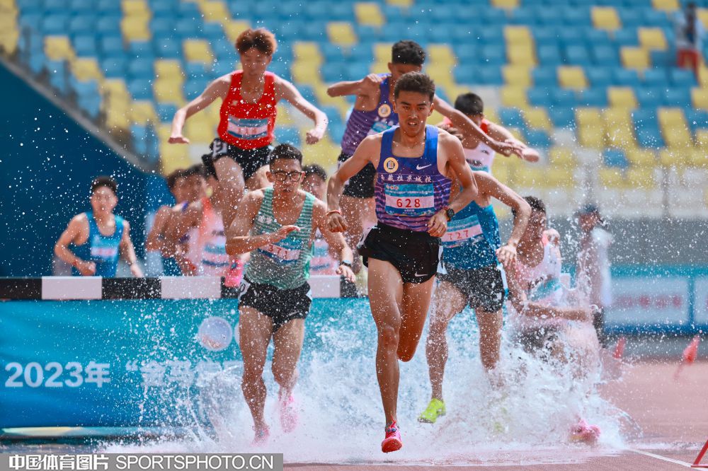 专业知识和 专业知识和